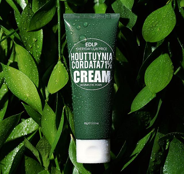 Крем увлажняющий для лица с экстрактом хауттюйнии Derma Factory Houttuynia Cordata 71% Cream